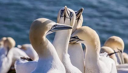 开云官网-基层足球人才流失现象分析，我国足球青少年人才培养存在的问题