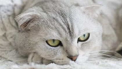 开云官网-基层足球人才流失现象分析，我国足球青少年人才培养存在的问题