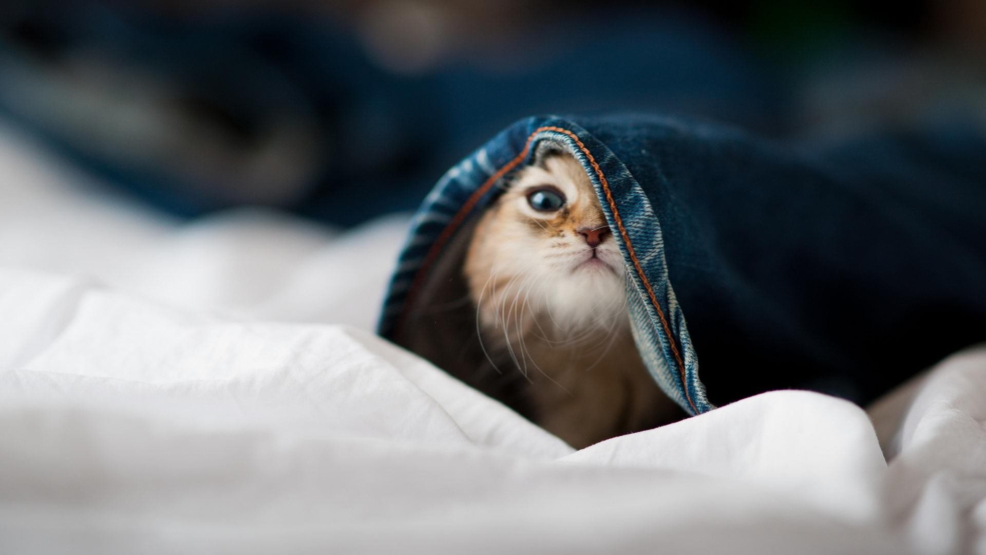 开云竞猜官网-“高新体育中心网球赛：经典对决，再现精彩绝伦的比赛”