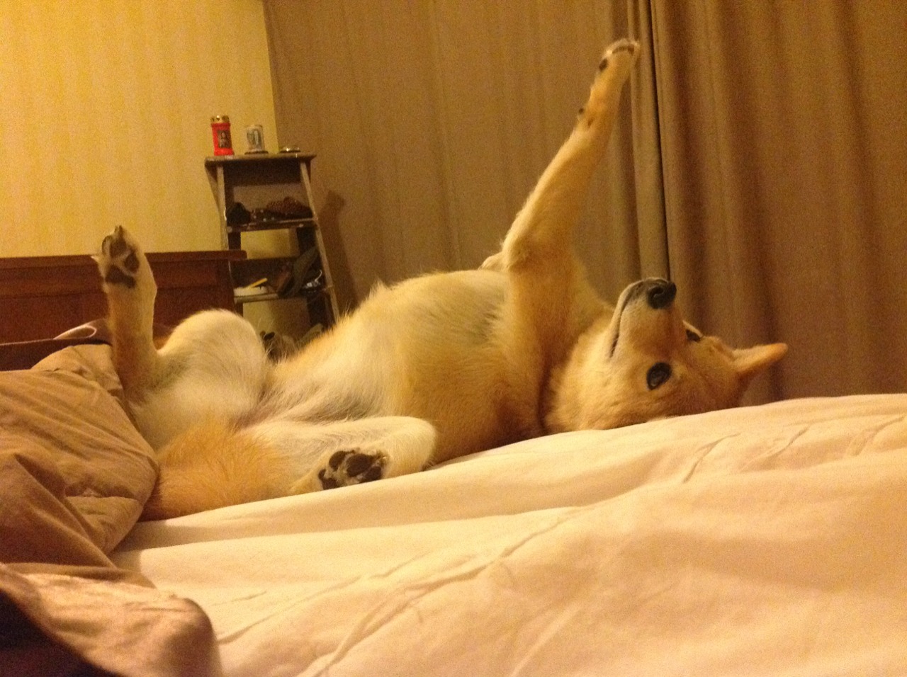 开云体育中国官网-体育新闻中心推动基层体育赛事直播技术升级，体育赛事直播的好处